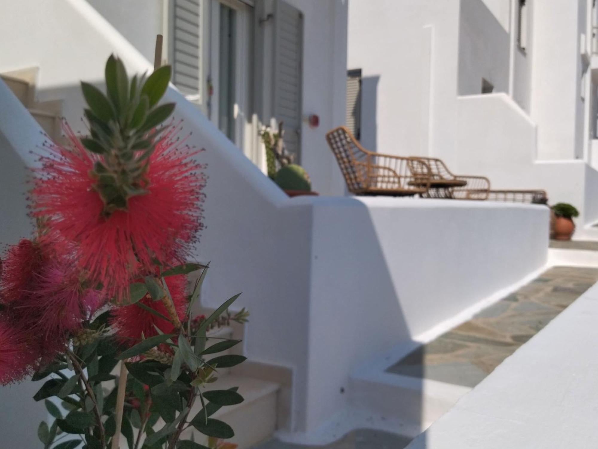 Gaia Serifos Apartments Rámos Habitación foto